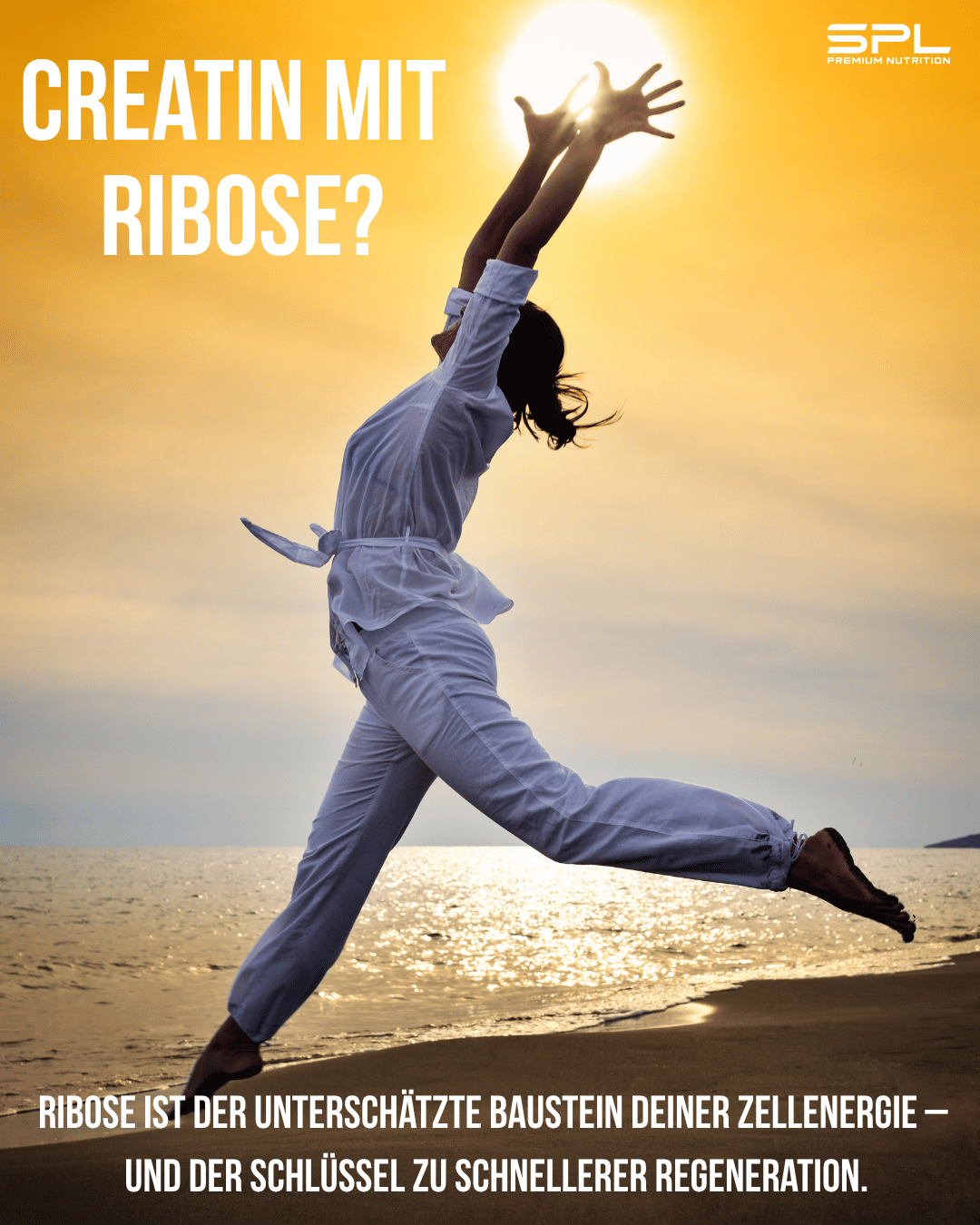 🚀 Energie fürs Leben: Was D-Ribose und Kreatin wirklich alles können!