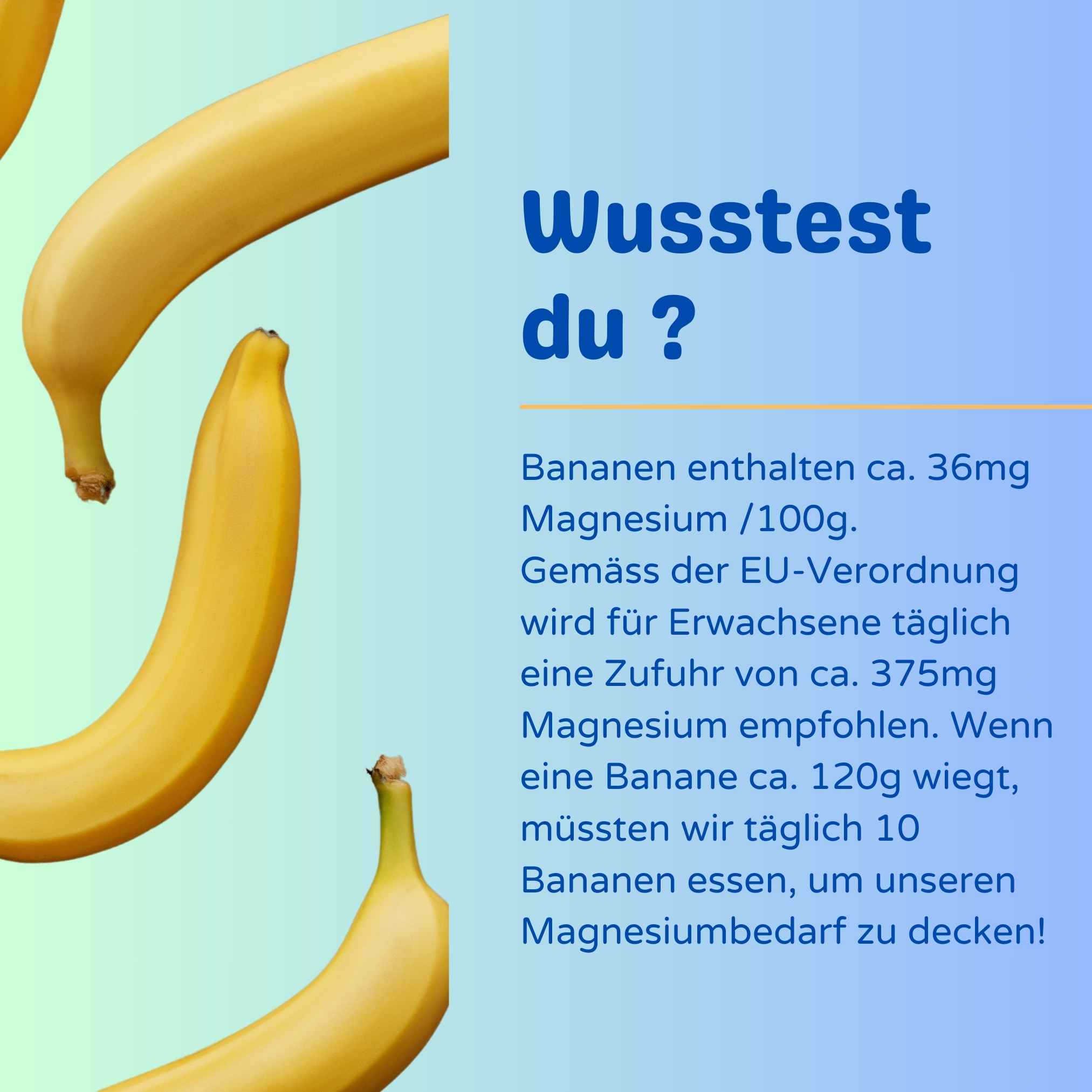 Bananen als reichhaltige Magnesiumquelle für Energie und Muskelfunktion: Ideal zur natürlichen Unterstützung des Magnesiumhaushalts für aktive Menschen und Sportler