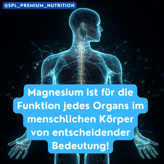 Wichtigkeit von Magnesium im menschlichen Körper – essenziell für Energie, Muskelfunktion und Stressreduktion