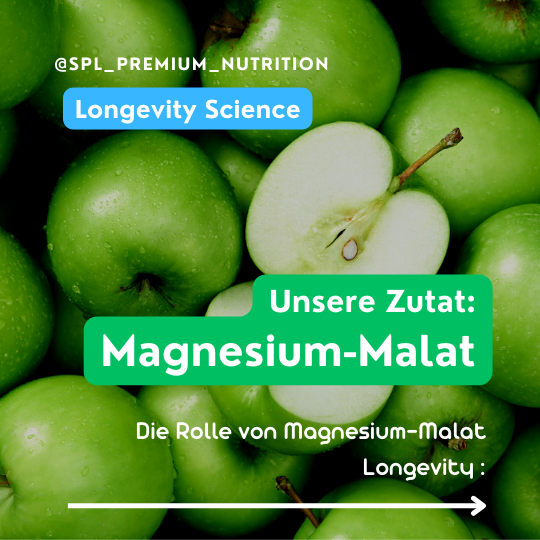 Magnesiummalat aus Äpfeln: Natürliche Magnesiumquelle für gesteigerte Energie, bessere Muskelgesundheit und optimale Leistungsfähigkeit im Alltag und Sport