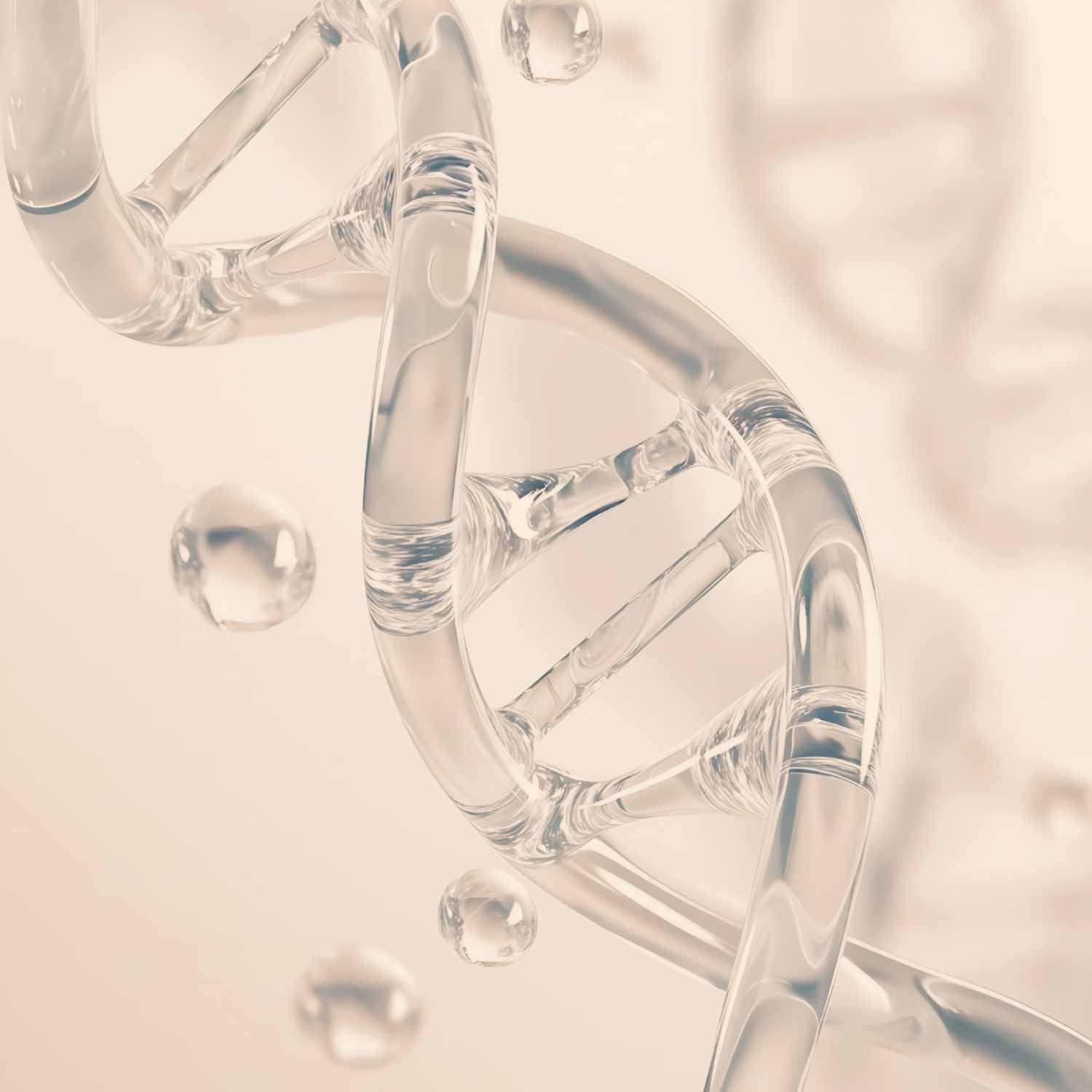 NMN (Nicotinamid-Mononukleotid): Aktueller Stand der Forschung & NAD⁺-Stoffwechsel