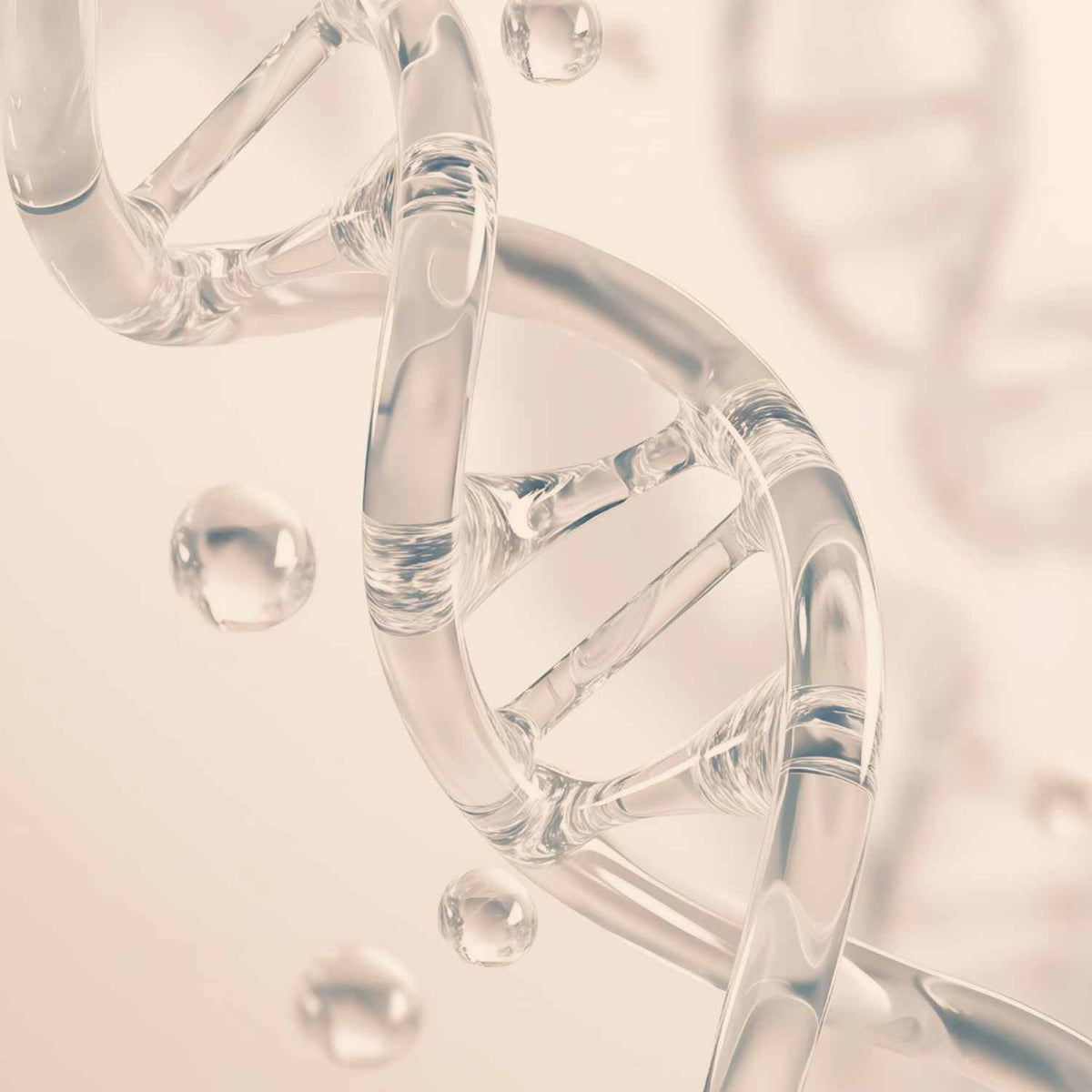 DNA